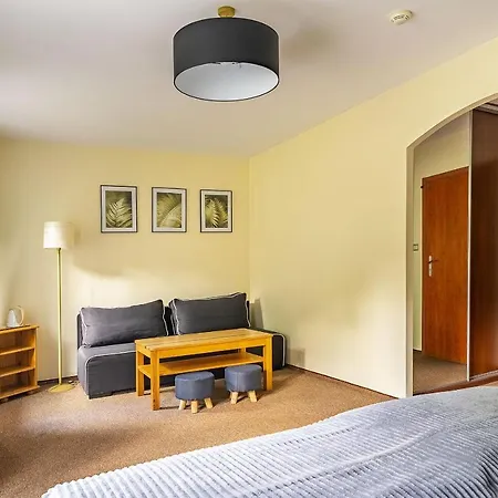 Nefryt - 600 M Od Pkp, Duży Parking, Lodówka, Czajnik, Balkon, * Karpacz